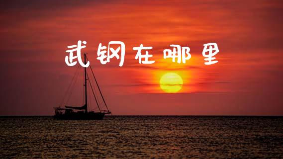 武钢在哪里_https://wap.sdyuehang.cn_新股申购_第1张