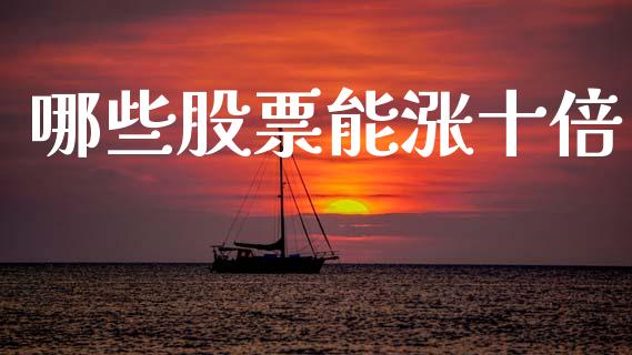 哪些股票能涨十倍_https://wap.sdyuehang.cn_新股申购_第1张