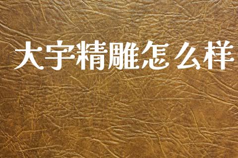 大宇精雕怎么样_https://wap.sdyuehang.cn_新股申购_第1张