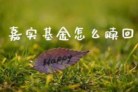 嘉实基金怎么赎回_https://wap.sdyuehang.cn_美股行情_第1张