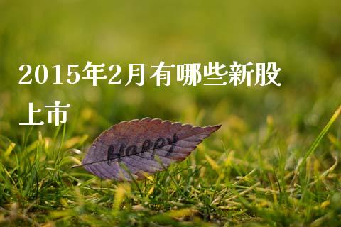 2015年2月有哪些新股上市_https://wap.sdyuehang.cn_新股申购_第1张