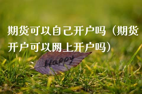 期货可以自己开户吗（期货开户可以网上开户吗）_https://wap.sdyuehang.cn_产经新闻_第1张