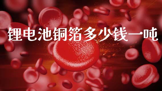 锂电池铜箔多少钱一吨_https://wap.sdyuehang.cn_美股行情_第1张