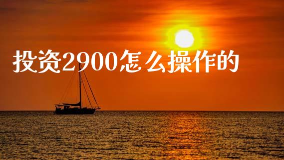 投资2900怎么操作的_https://wap.sdyuehang.cn_新股申购_第1张