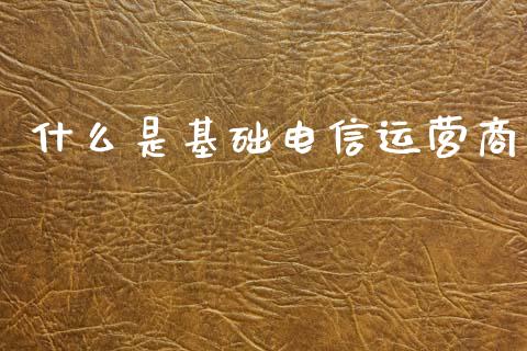 什么是基础电信运营商_https://wap.sdyuehang.cn_债券资讯_第1张