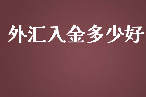 外汇入金多少好_https://wap.sdyuehang.cn_美股行情_第1张