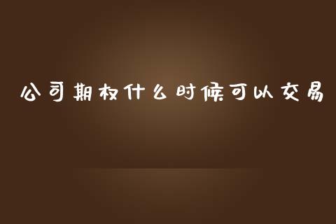 公司期权什么时候可以交易_https://wap.sdyuehang.cn_产经新闻_第1张
