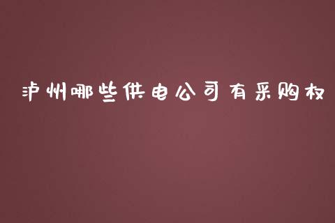 泸州哪些供电公司有采购权_https://wap.sdyuehang.cn_美股行情_第1张