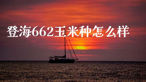 登海662玉米种怎么样_https://wap.sdyuehang.cn_产经新闻_第1张