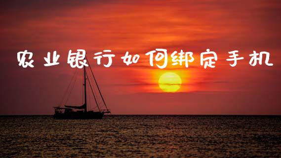 农业银行如何绑定手机_https://wap.sdyuehang.cn_产经新闻_第1张