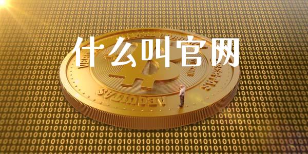 什么叫官网_https://wap.sdyuehang.cn_债券资讯_第1张