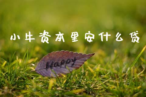 小牛资本里安什么贷_https://wap.sdyuehang.cn_债券资讯_第1张