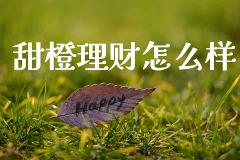 甜橙理财怎么样_https://wap.sdyuehang.cn_债券资讯_第1张