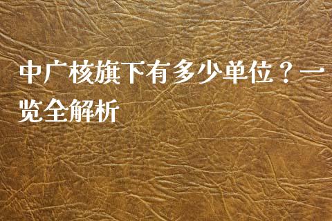 中广核旗下有多少单位？一览全解析_https://wap.sdyuehang.cn_产经新闻_第1张