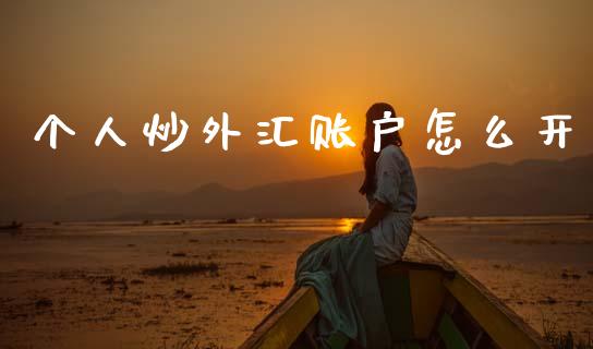 个人炒外汇账户怎么开_https://wap.sdyuehang.cn_债券资讯_第1张