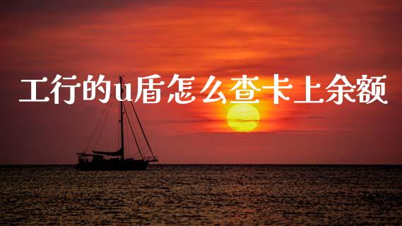 工行的u盾怎么查卡上余额_https://wap.sdyuehang.cn_美股行情_第1张