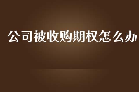 公司被收购期权怎么办_https://wap.sdyuehang.cn_新股申购_第1张