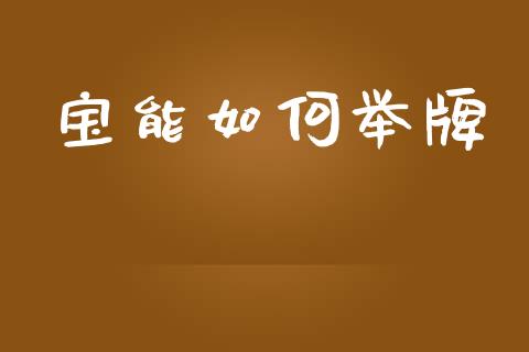 宝能如何举牌_https://wap.sdyuehang.cn_产经新闻_第1张