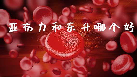 亚布力和东升哪个好_https://wap.sdyuehang.cn_美股行情_第1张