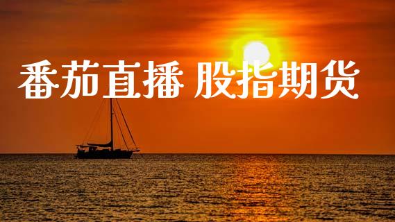番茄直播 股指期货_https://wap.sdyuehang.cn_美股行情_第1张