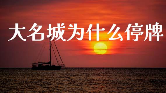 大名城为什么停牌_https://wap.sdyuehang.cn_美股行情_第1张