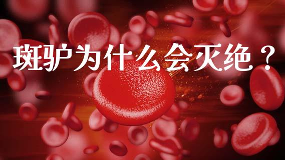 斑驴为什么会灭绝？_https://wap.sdyuehang.cn_债券资讯_第1张