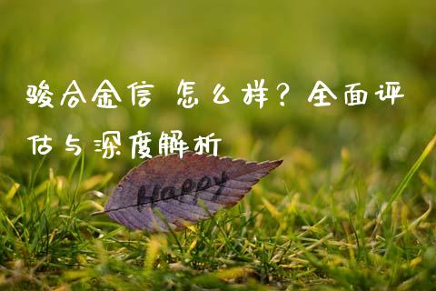 骏合金信 怎么样？全面评估与深度解析_https://wap.sdyuehang.cn_美股行情_第1张