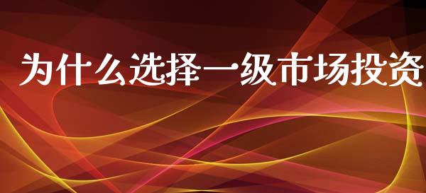 为什么选择一级市场投资_https://wap.sdyuehang.cn_债券资讯_第1张