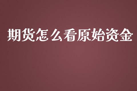 期货怎么看原始资金_https://wap.sdyuehang.cn_美股行情_第1张