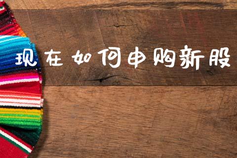 现在如何申购新股_https://wap.sdyuehang.cn_债券资讯_第1张