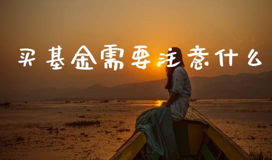 买基金需要注意什么_https://wap.sdyuehang.cn_美股行情_第1张
