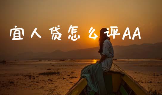宜人贷怎么评AA_https://wap.sdyuehang.cn_产经新闻_第1张