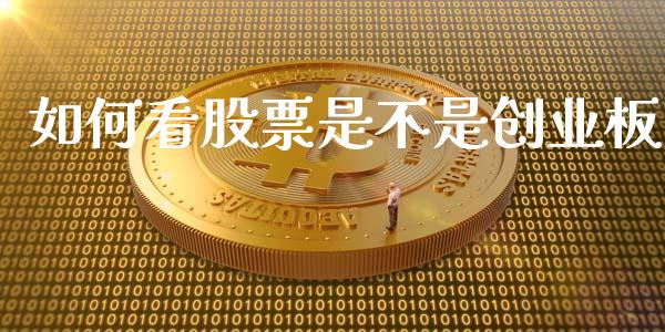 如何看股票是不是创业板_https://wap.sdyuehang.cn_新股申购_第1张