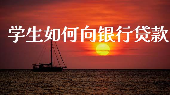 学生如何向银行贷款_https://wap.sdyuehang.cn_债券资讯_第1张