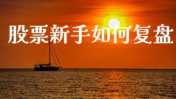 股票新手如何复盘_https://wap.sdyuehang.cn_产经新闻_第1张