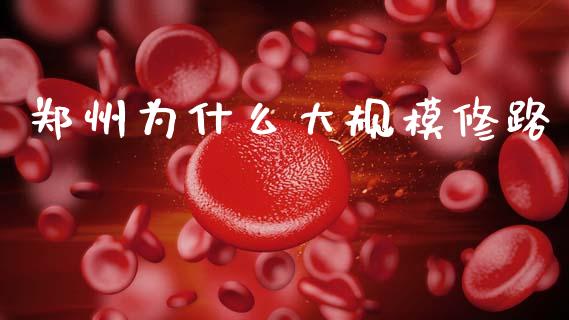 郑州为什么大规模修路_https://wap.sdyuehang.cn_新股申购_第1张