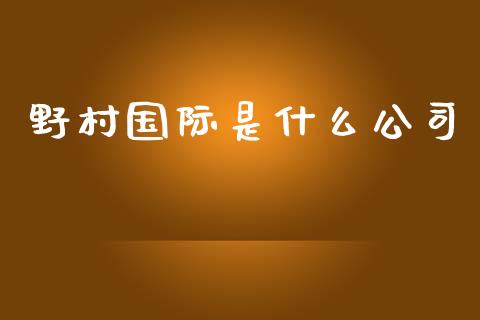 野村国际是什么公司_https://wap.sdyuehang.cn_债券资讯_第1张