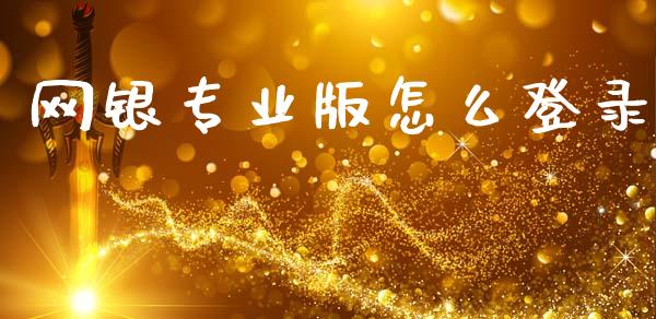 网银专业版怎么登录_https://wap.sdyuehang.cn_美股行情_第1张