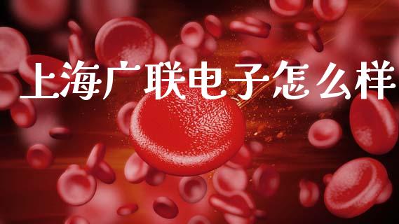 上海广联电子怎么样_https://wap.sdyuehang.cn_美股行情_第1张