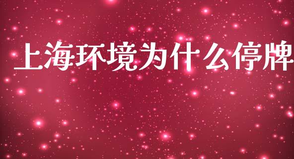 上海环境为什么停牌_https://wap.sdyuehang.cn_债券资讯_第1张