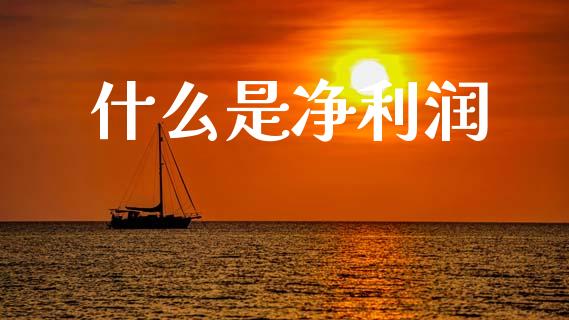 什么是净利润_https://wap.sdyuehang.cn_新股申购_第1张