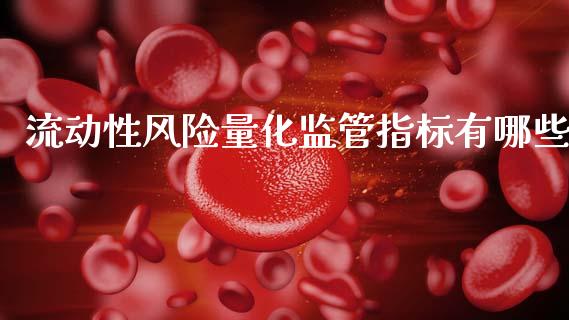 流动性风险量化监管指标有哪些_https://wap.sdyuehang.cn_新股申购_第1张