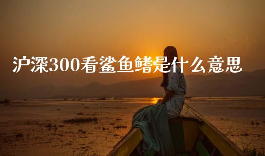 沪深300看鲨鱼鳍是什么意思_https://wap.sdyuehang.cn_新股申购_第1张