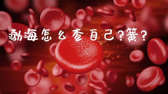 渤海怎么查自己?簧?_https://wap.sdyuehang.cn_美股行情_第1张