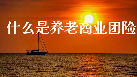 什么是养老商业团险_https://wap.sdyuehang.cn_产经新闻_第1张