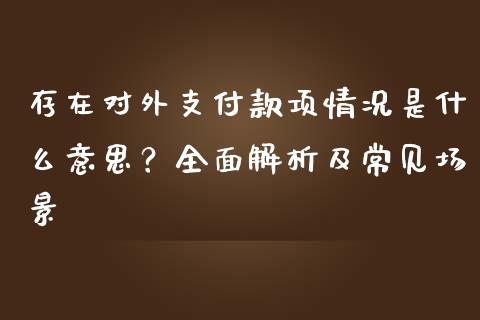 存在对外支付款项情况是什么意思？全面解析及常见场景_https://wap.sdyuehang.cn_产经新闻_第1张