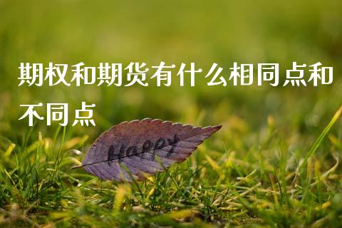 期权和期货有什么相同点和不同点_https://wap.sdyuehang.cn_债券资讯_第1张