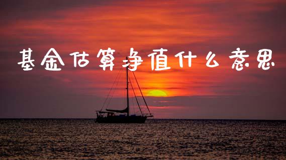 基金估算净值什么意思_https://wap.sdyuehang.cn_美股行情_第1张