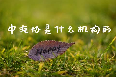 中汽协是什么机构的_https://wap.sdyuehang.cn_美股行情_第1张