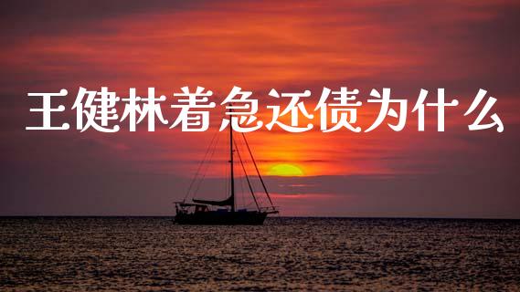 王健林着急还债为什么_https://wap.sdyuehang.cn_美股行情_第1张